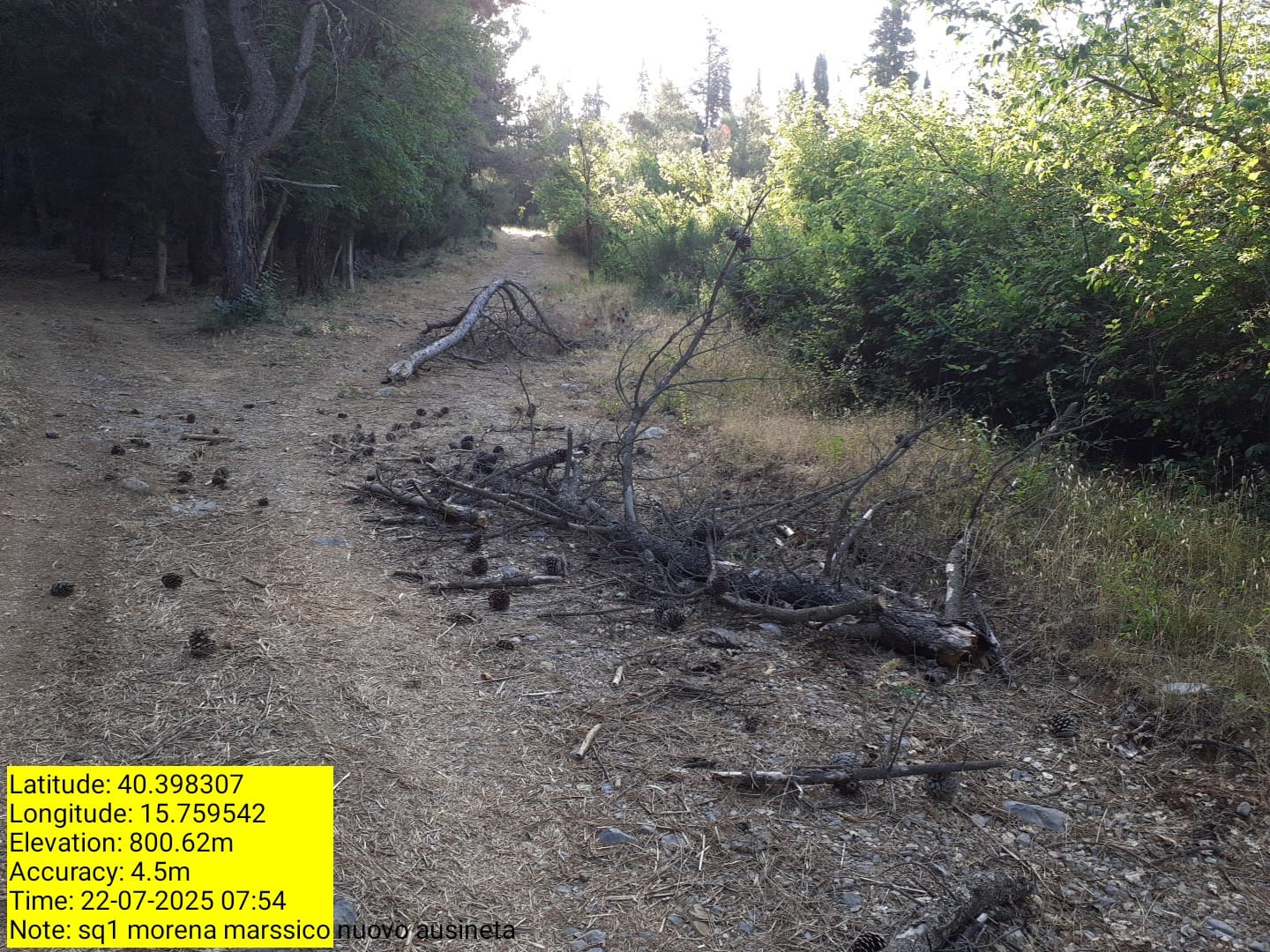 Galleria Fotografica Immagine