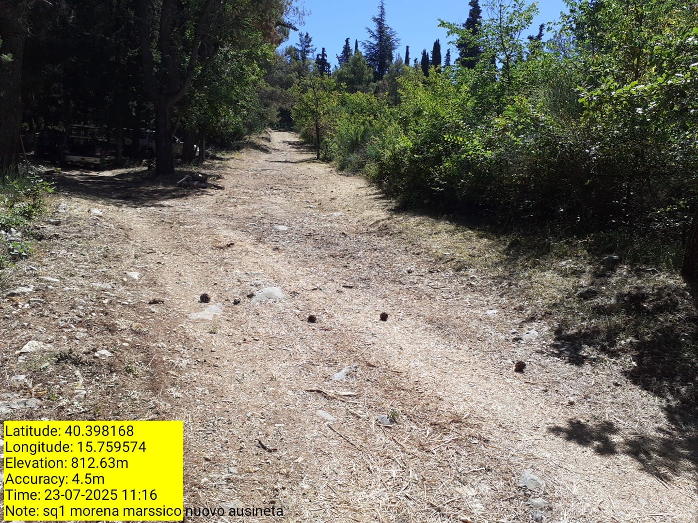 Galleria Fotografica Immagine