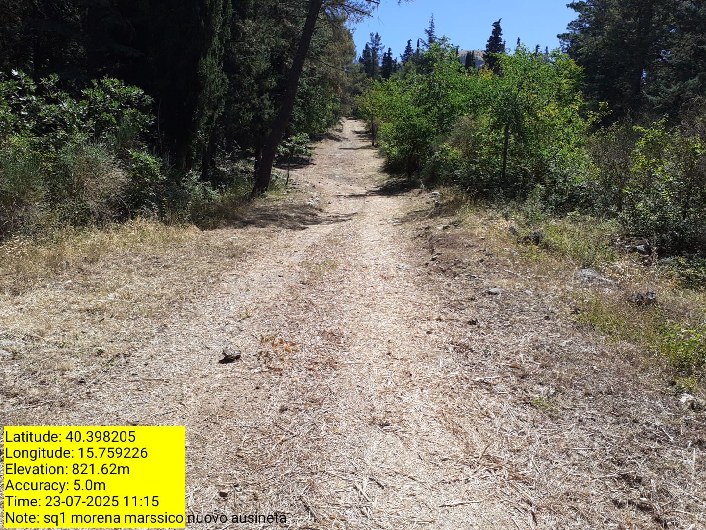 Galleria Fotografica Immagine