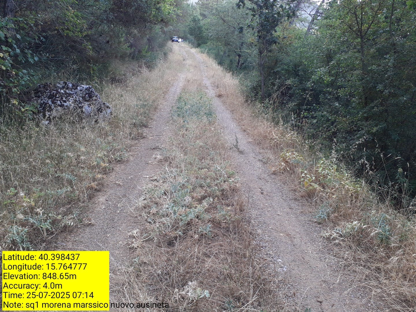 Galleria Fotografica Immagine