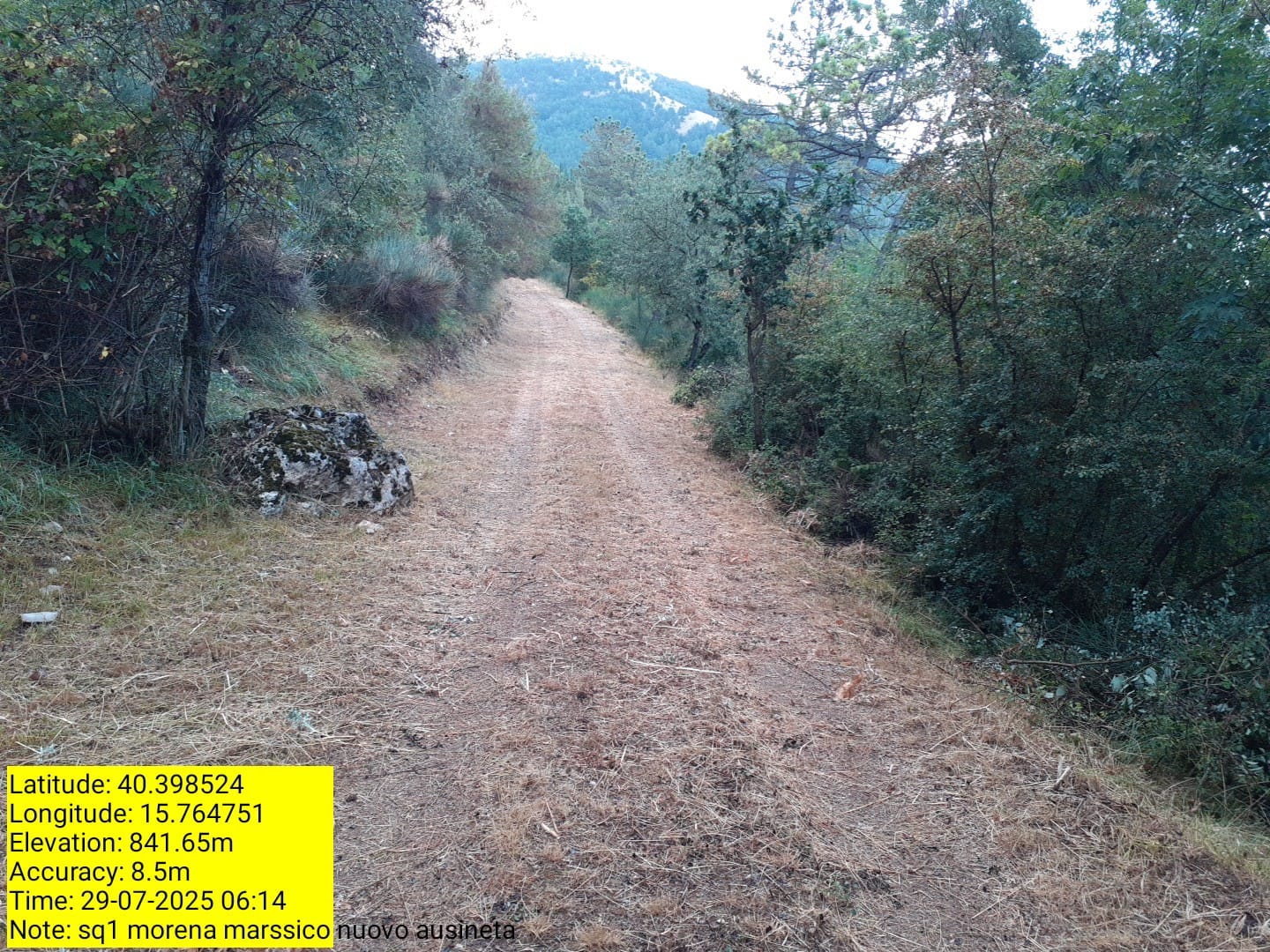 Galleria Fotografica Immagine