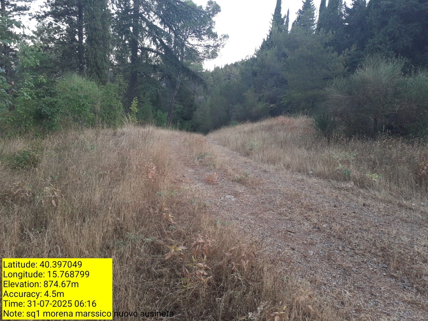 Galleria Fotografica Immagine