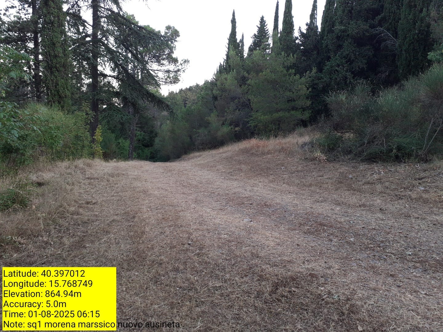 Galleria Fotografica Immagine