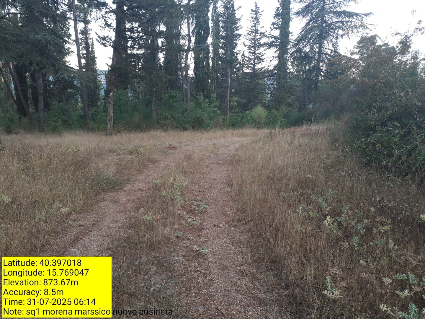 Galleria Fotografica Immagine