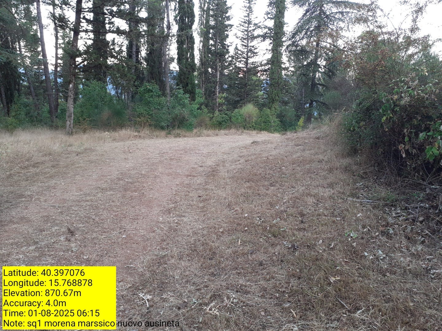 Galleria Fotografica Immagine