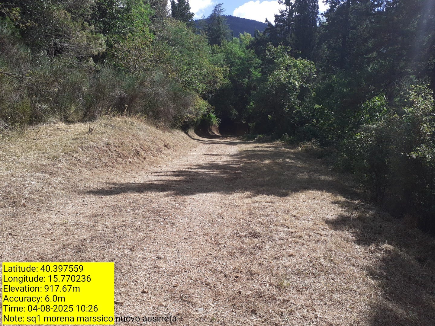 Galleria Fotografica Immagine