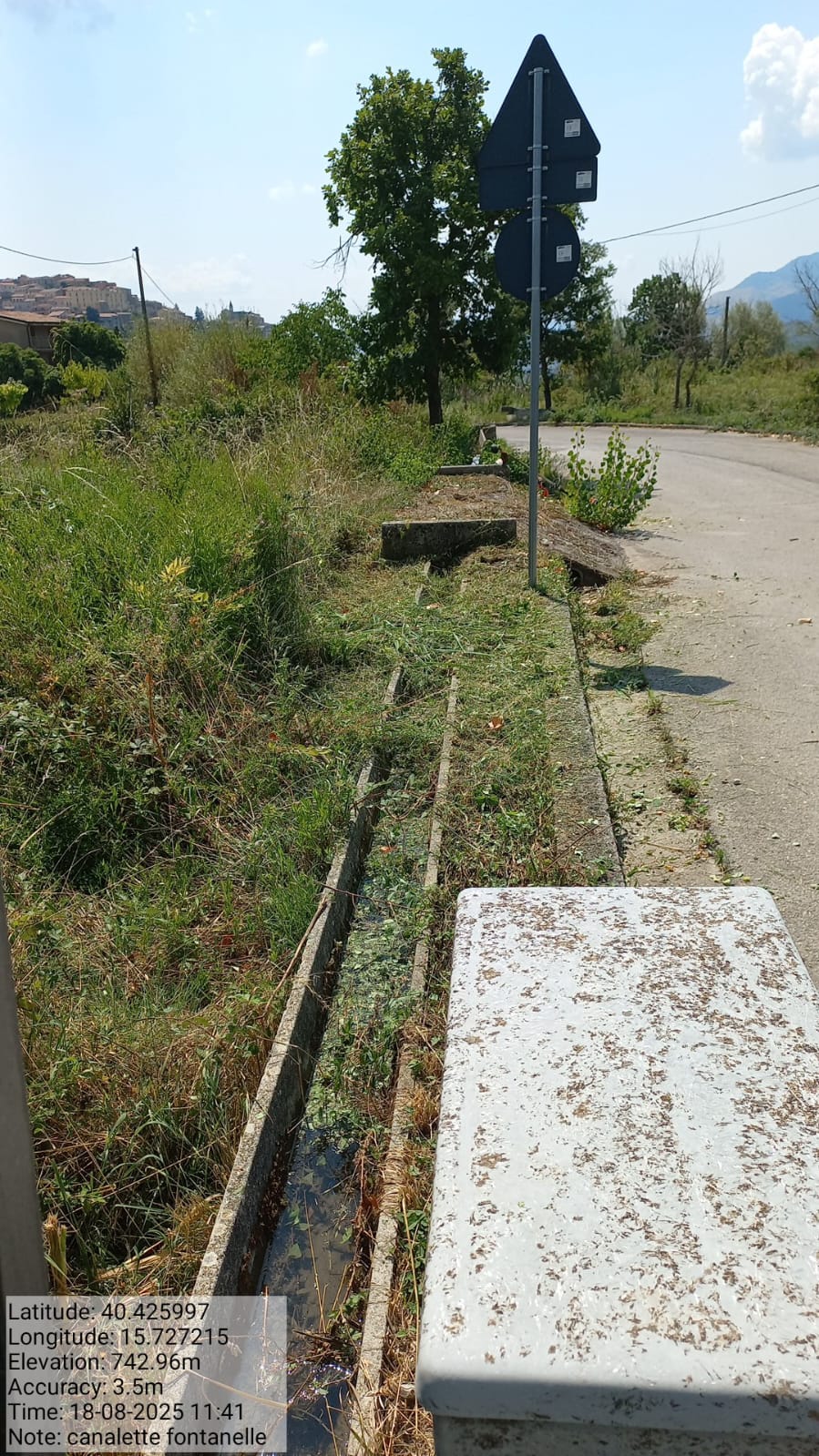 Galleria Fotografica Immagine