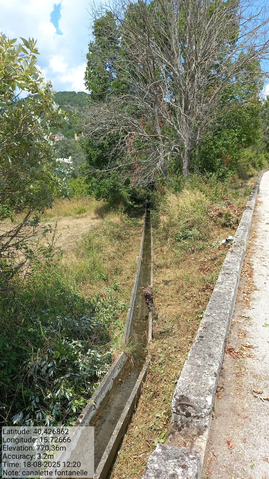 Galleria Fotografica Immagine