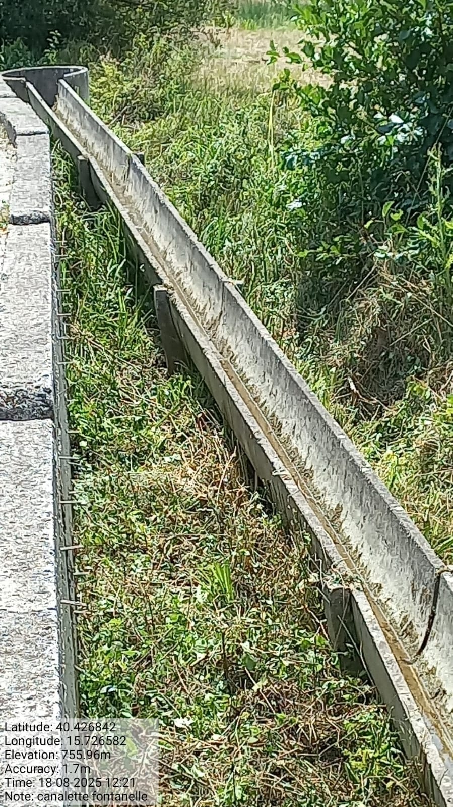 Galleria Fotografica Immagine