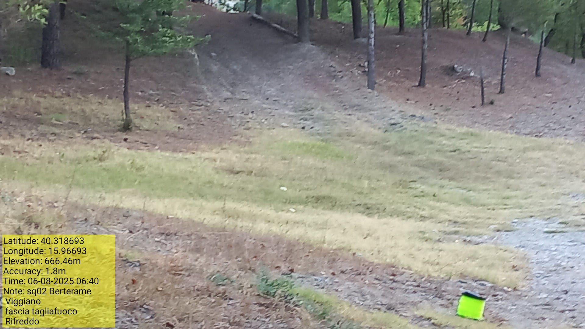 Galleria Fotografica Immagine