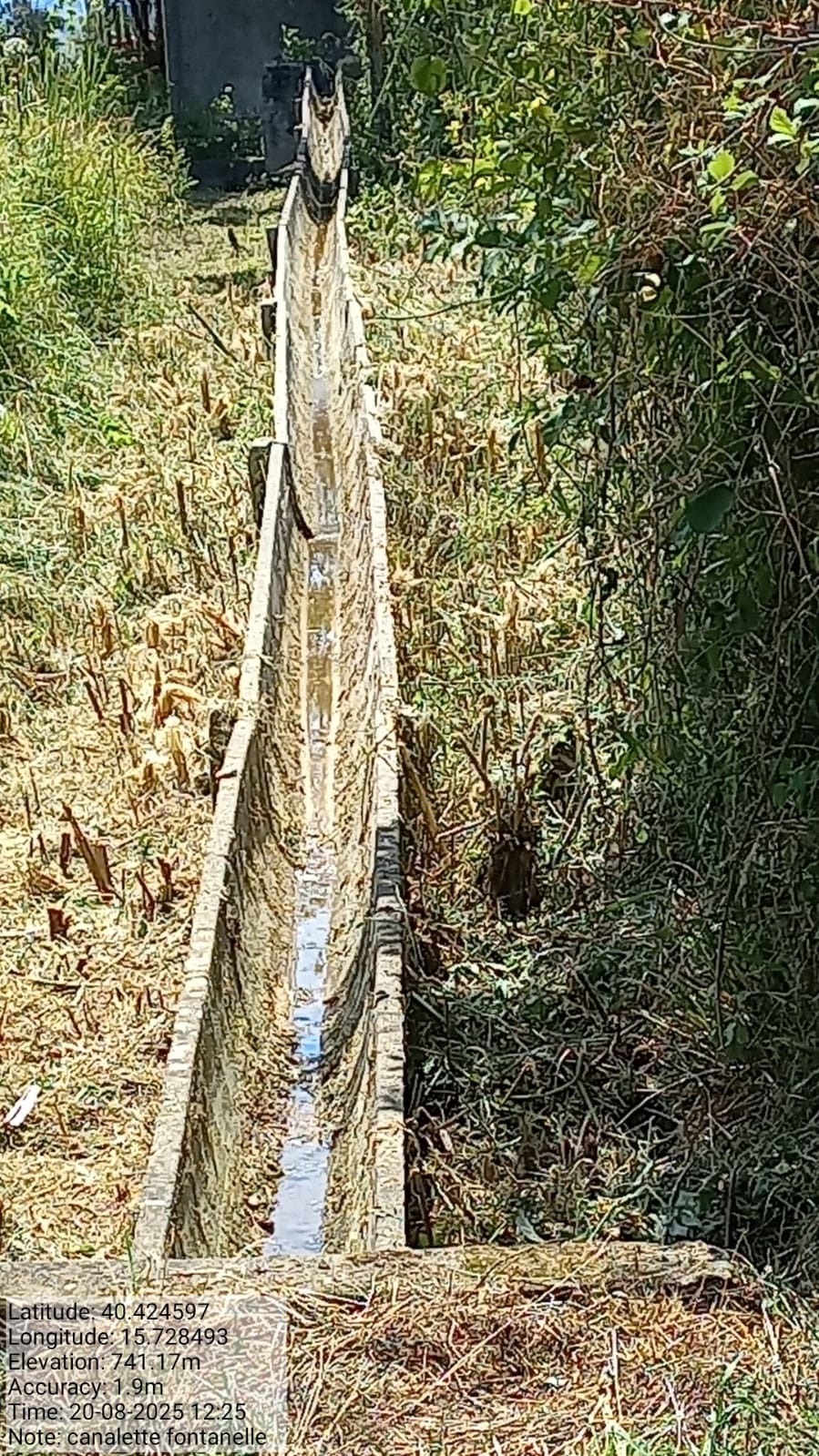 Galleria Fotografica Immagine