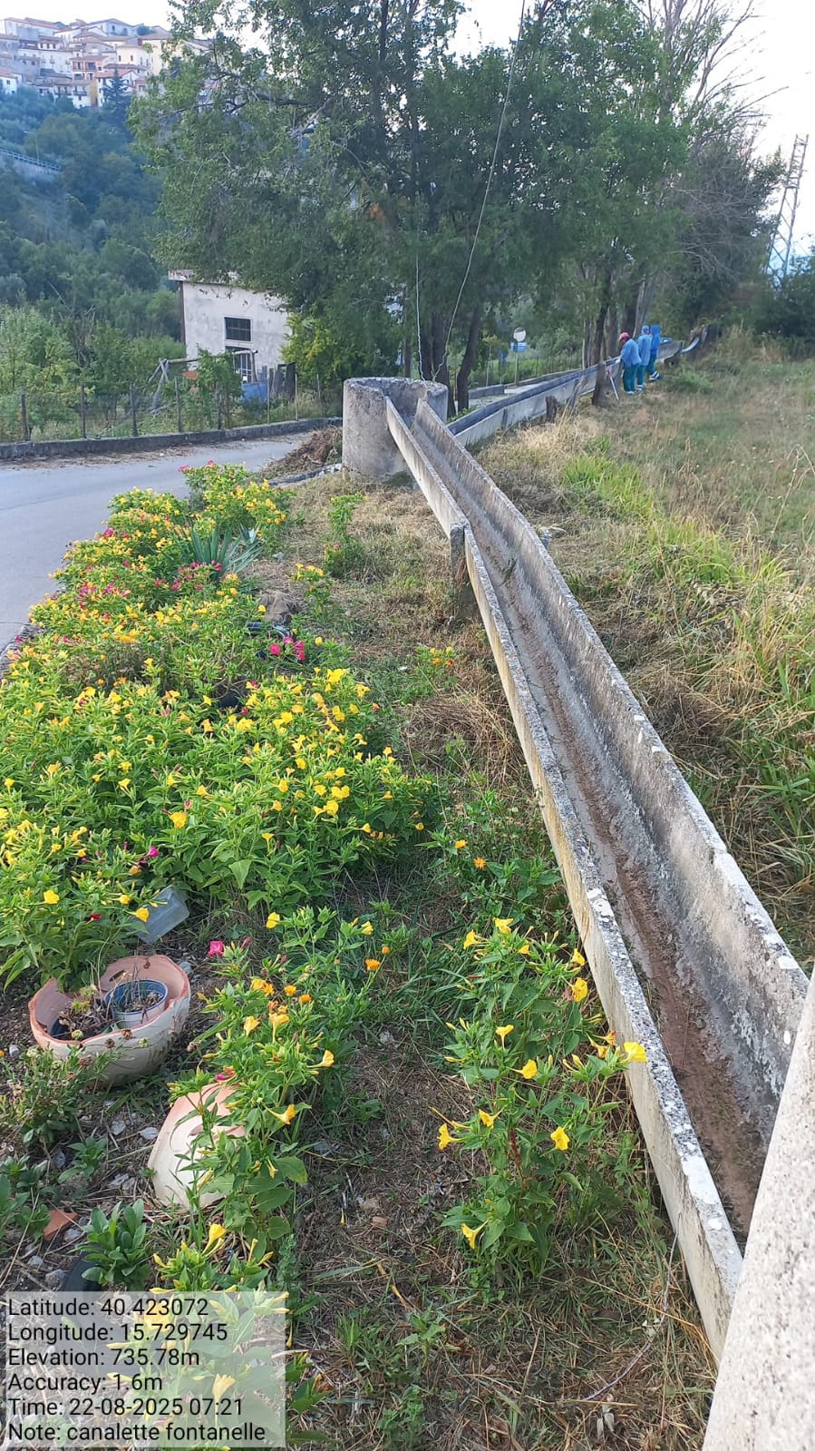 Galleria Fotografica Immagine