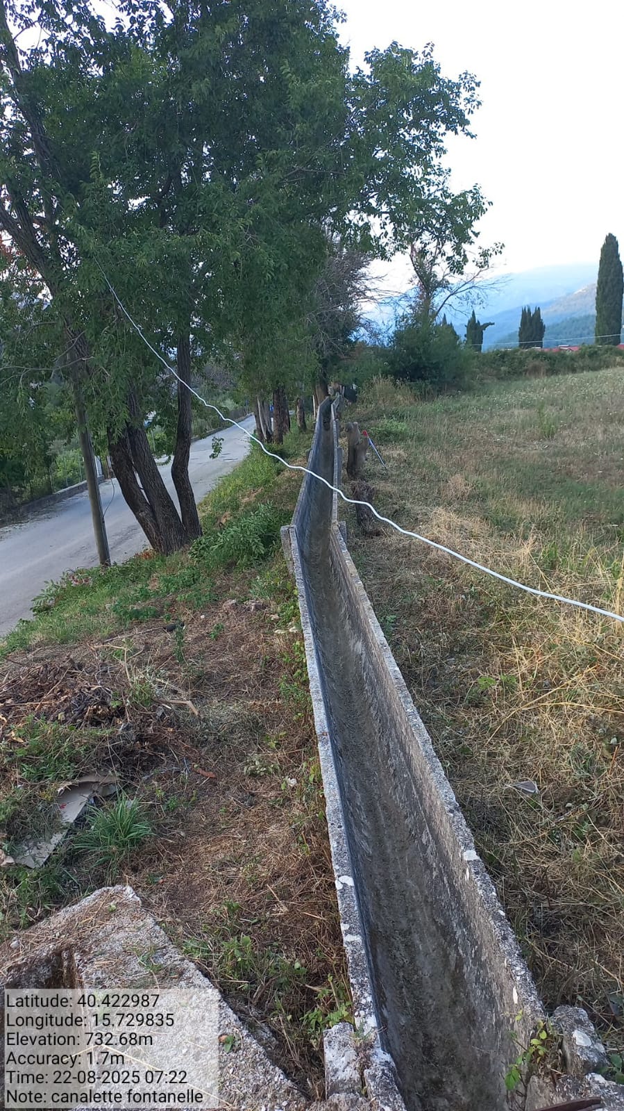 Galleria Fotografica Immagine