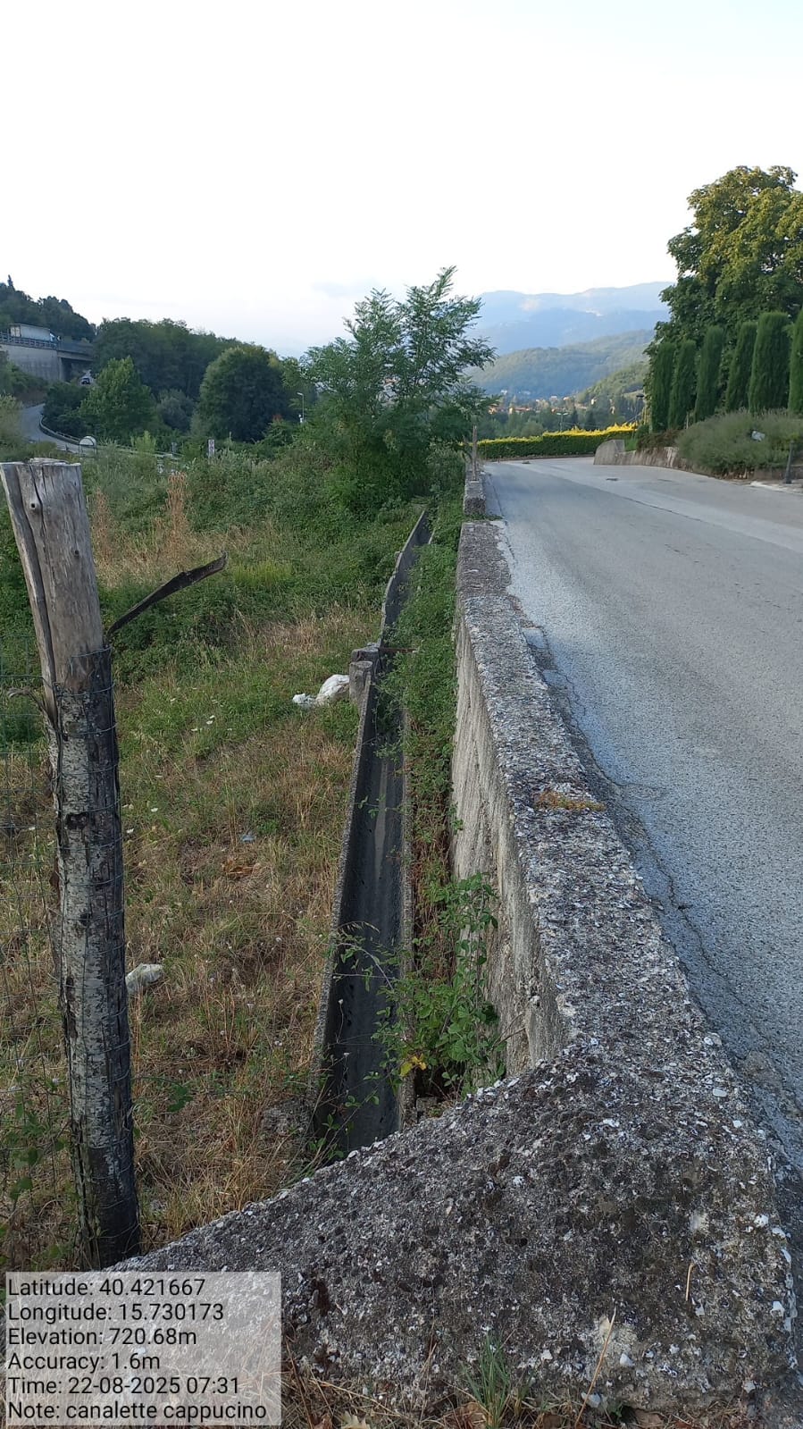 Galleria Fotografica Immagine