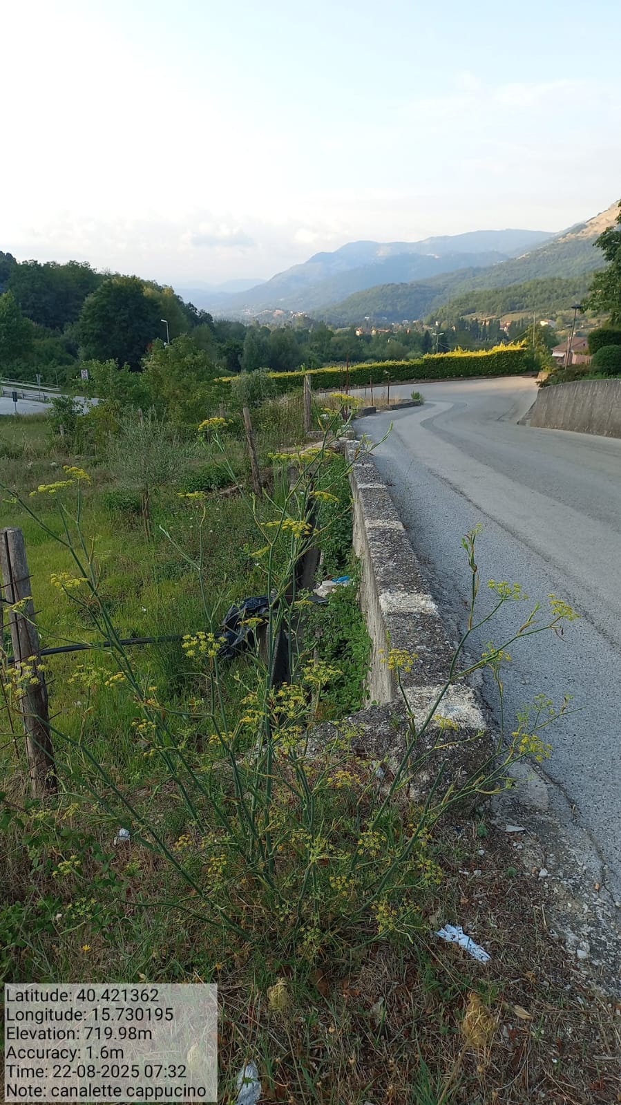 Galleria Fotografica Immagine