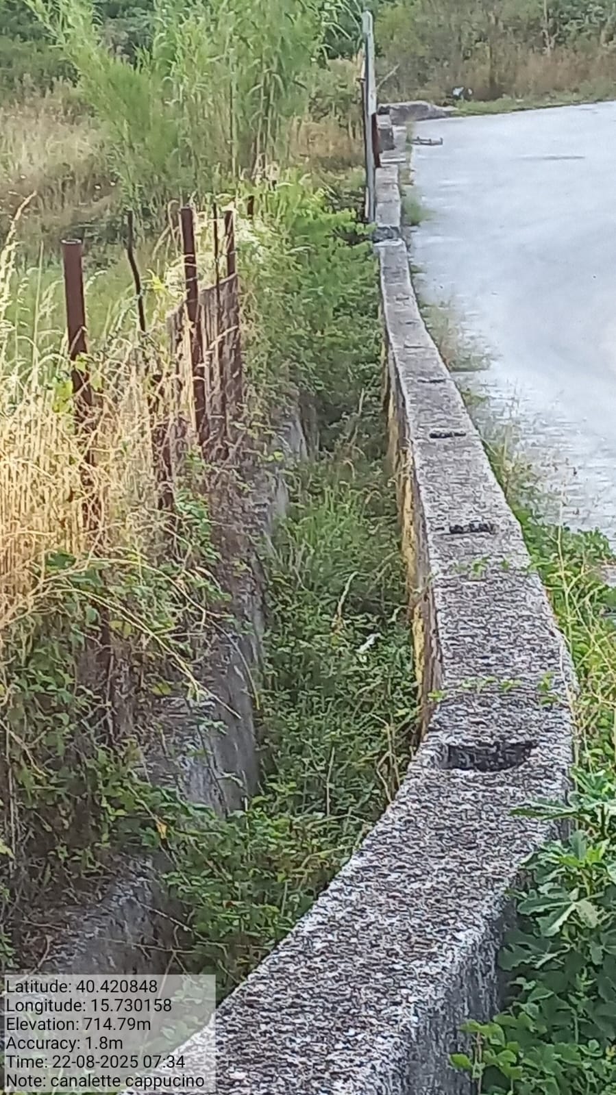 Galleria Fotografica Immagine