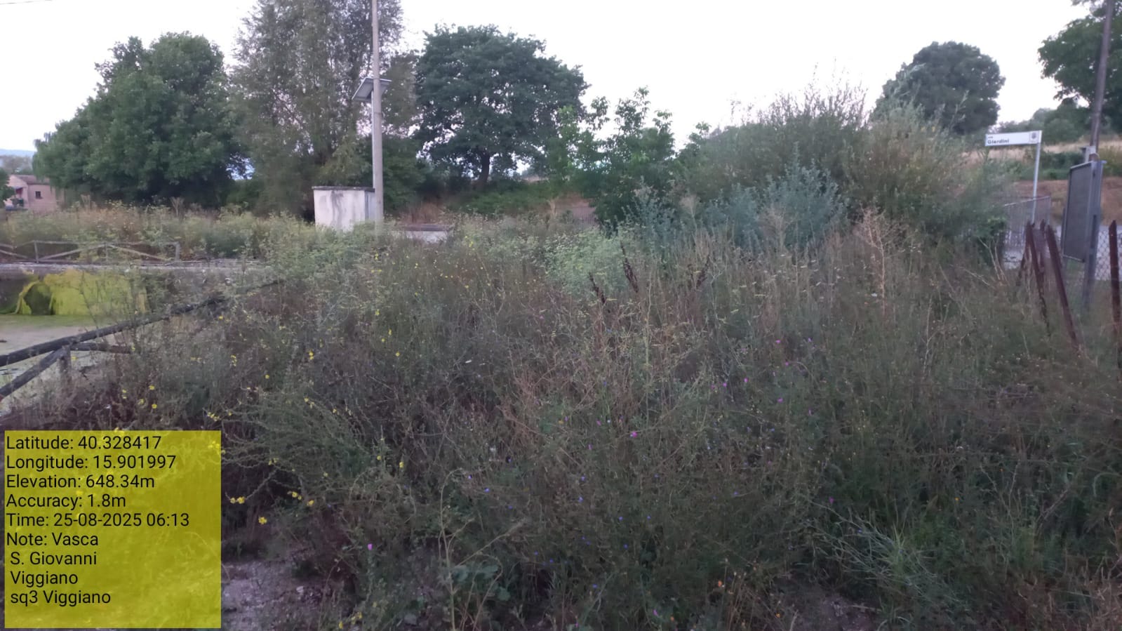 Galleria Fotografica Immagine