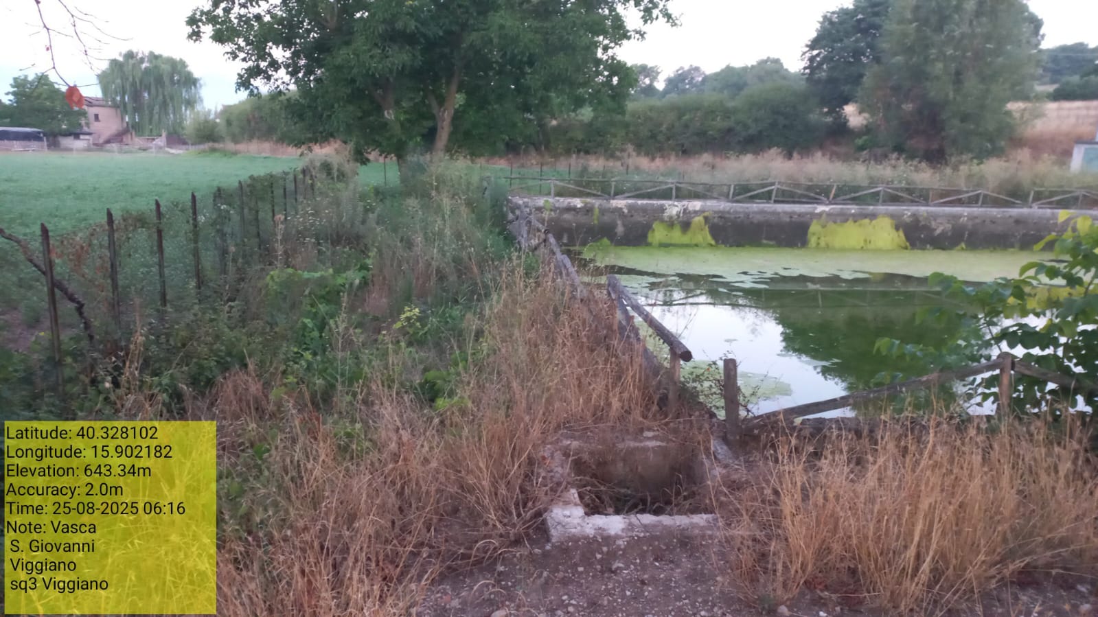 Galleria Fotografica Immagine