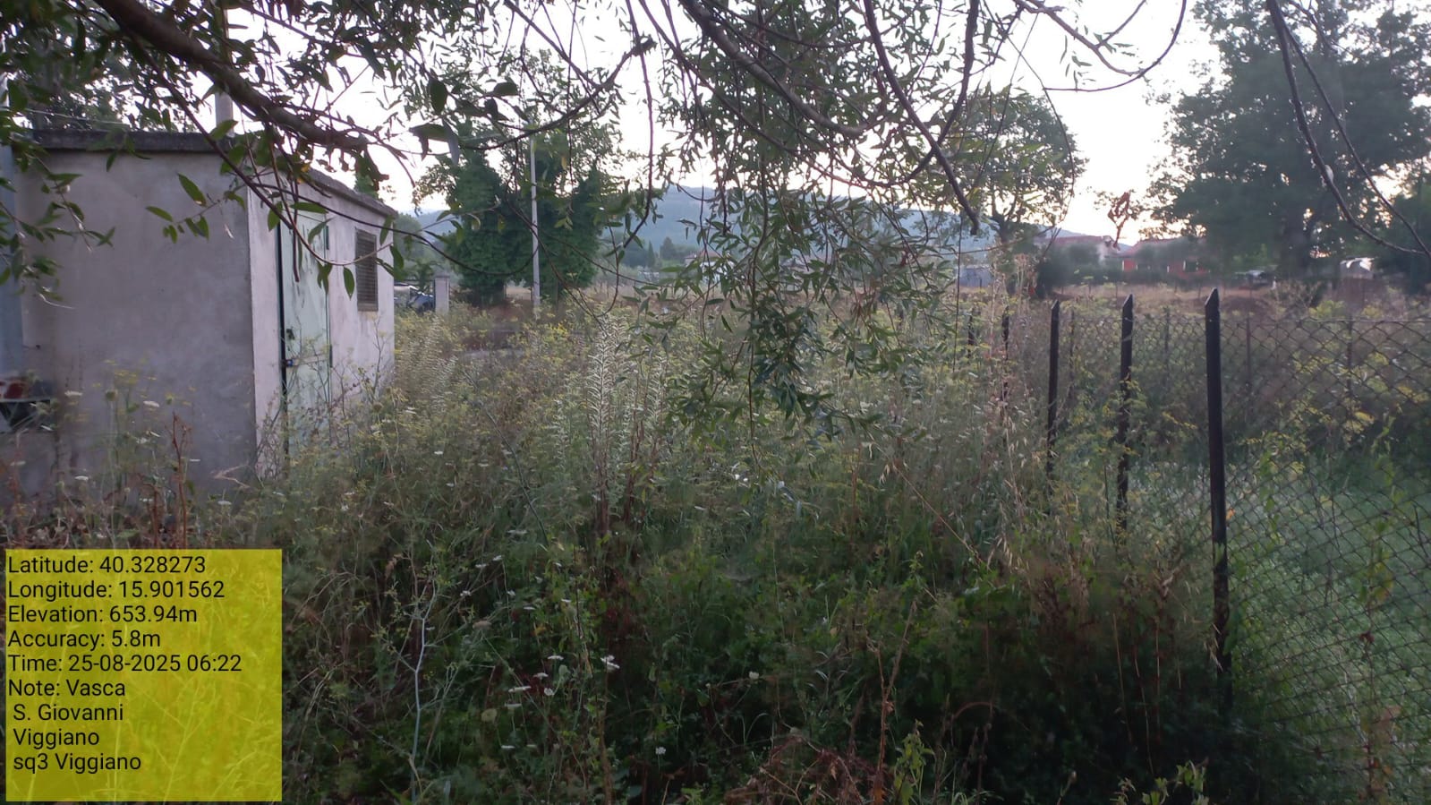 Galleria Fotografica Immagine