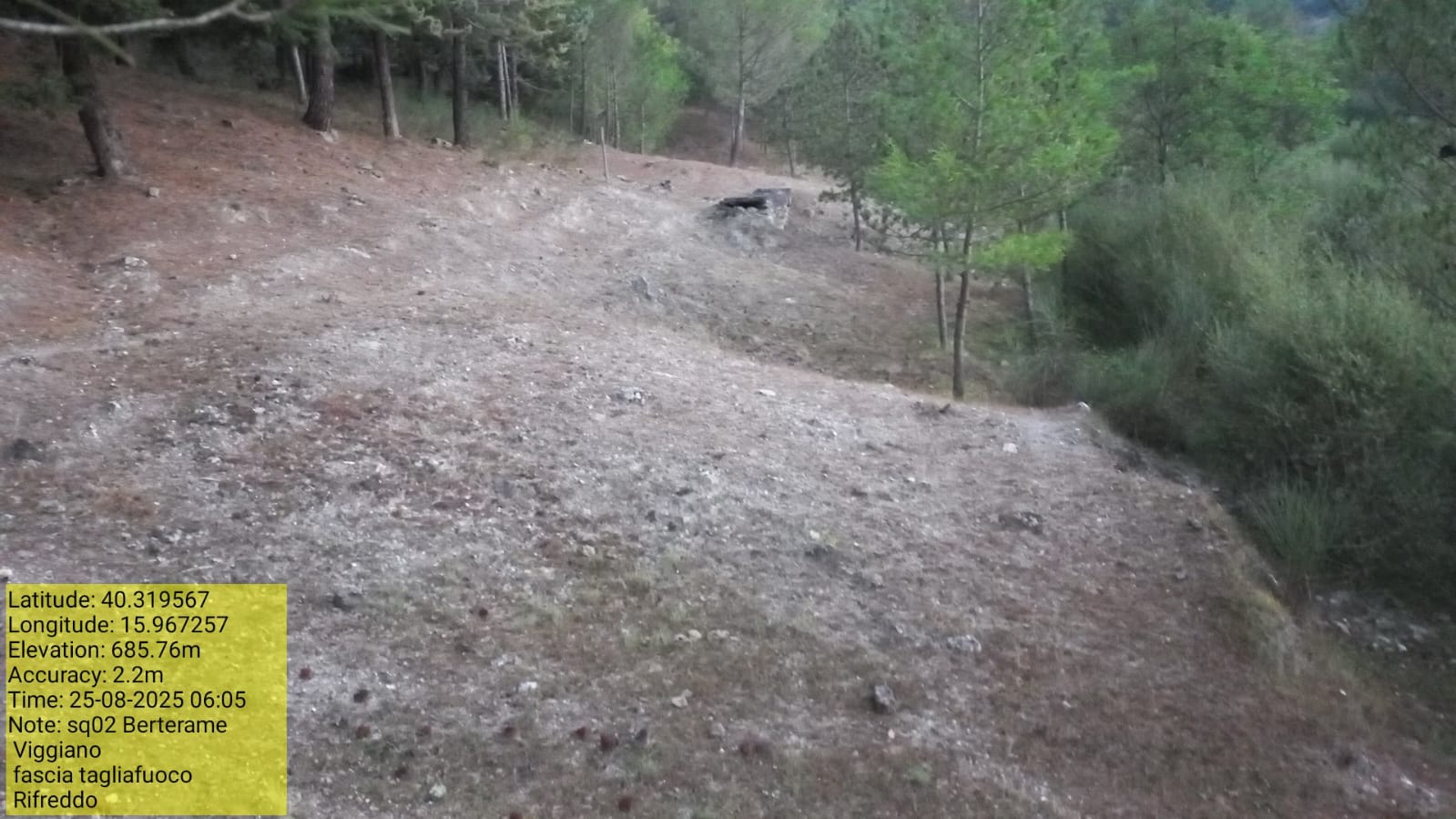 Galleria Fotografica Immagine