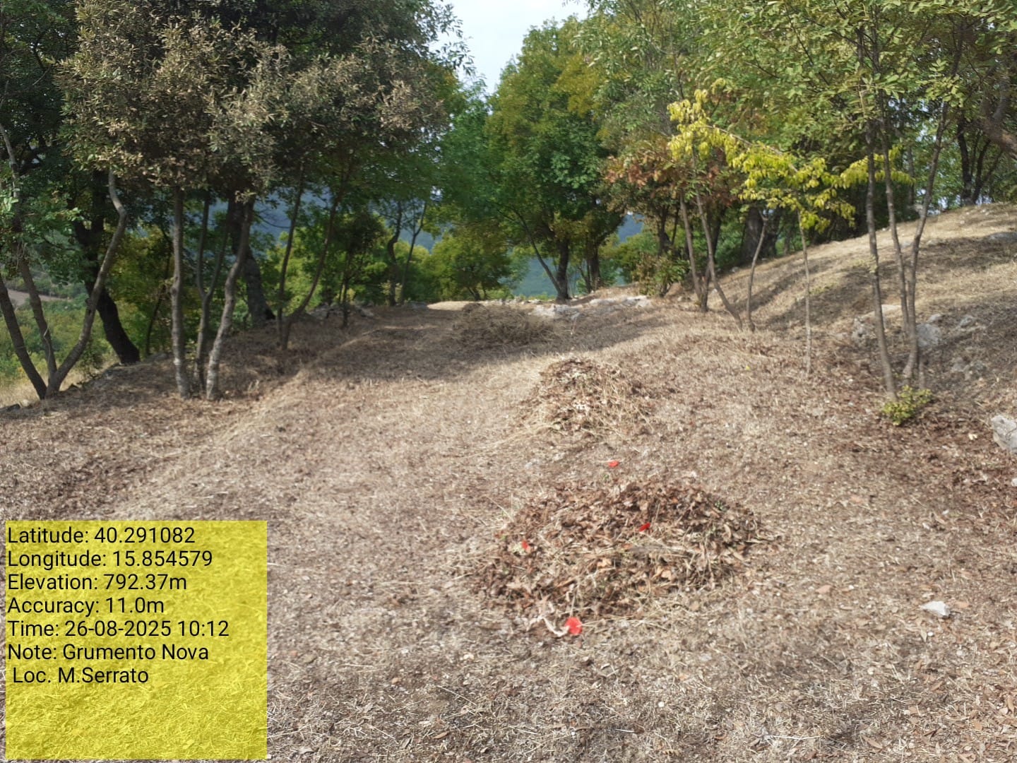 Galleria Fotografica Immagine