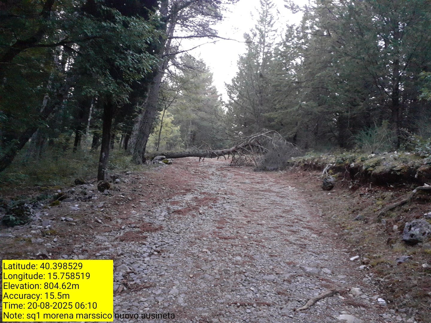 Galleria Fotografica Immagine