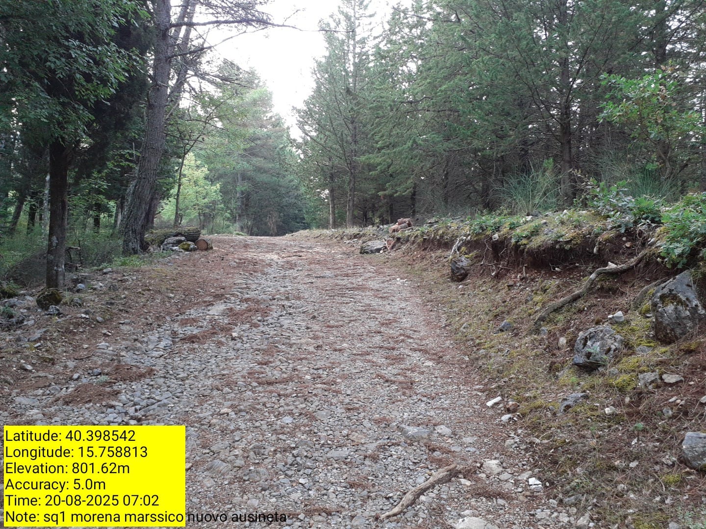 Galleria Fotografica Immagine