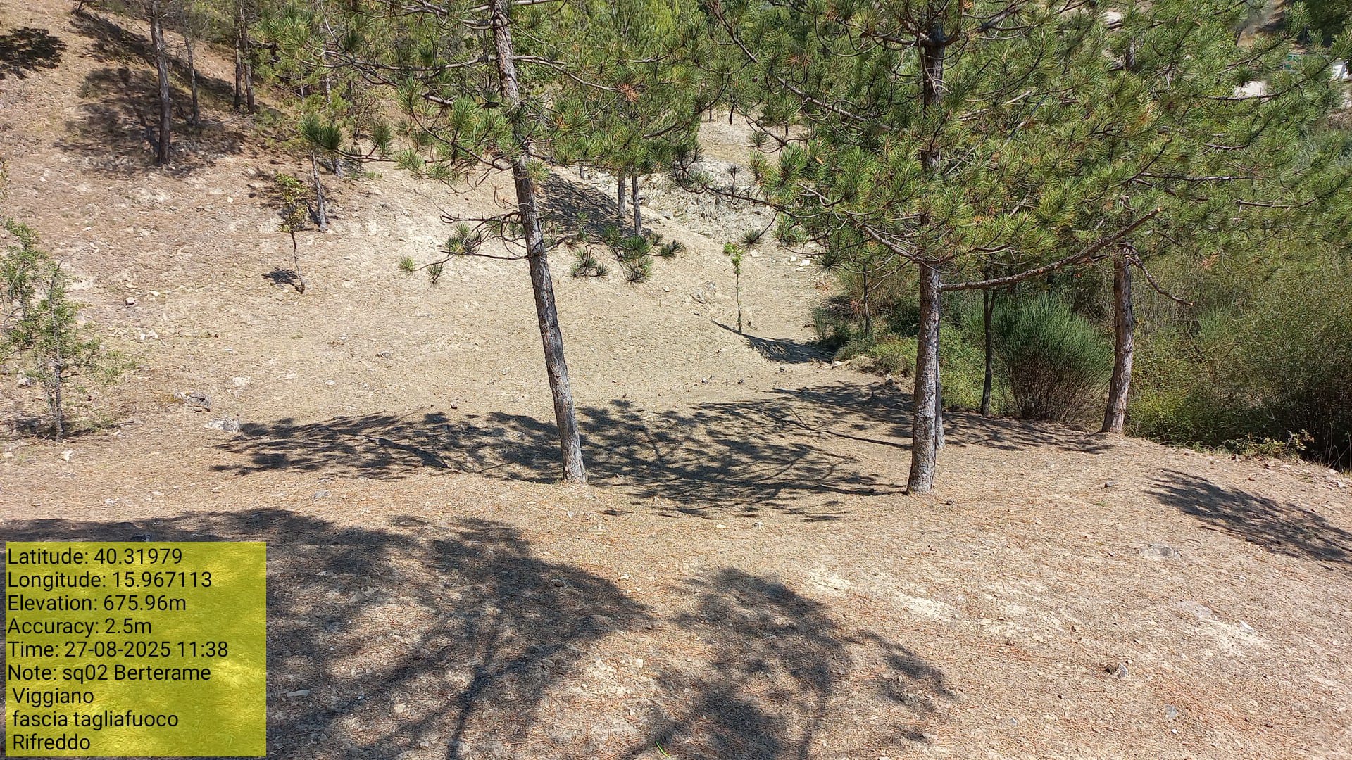 Galleria Fotografica Immagine