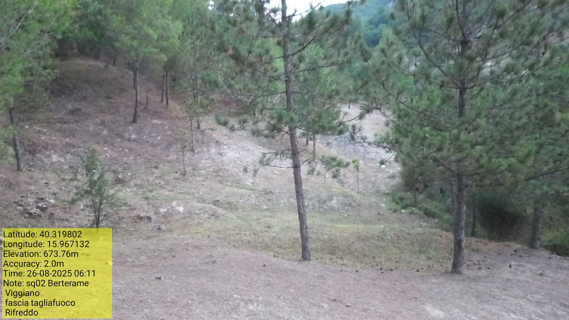 Galleria Fotografica Immagine