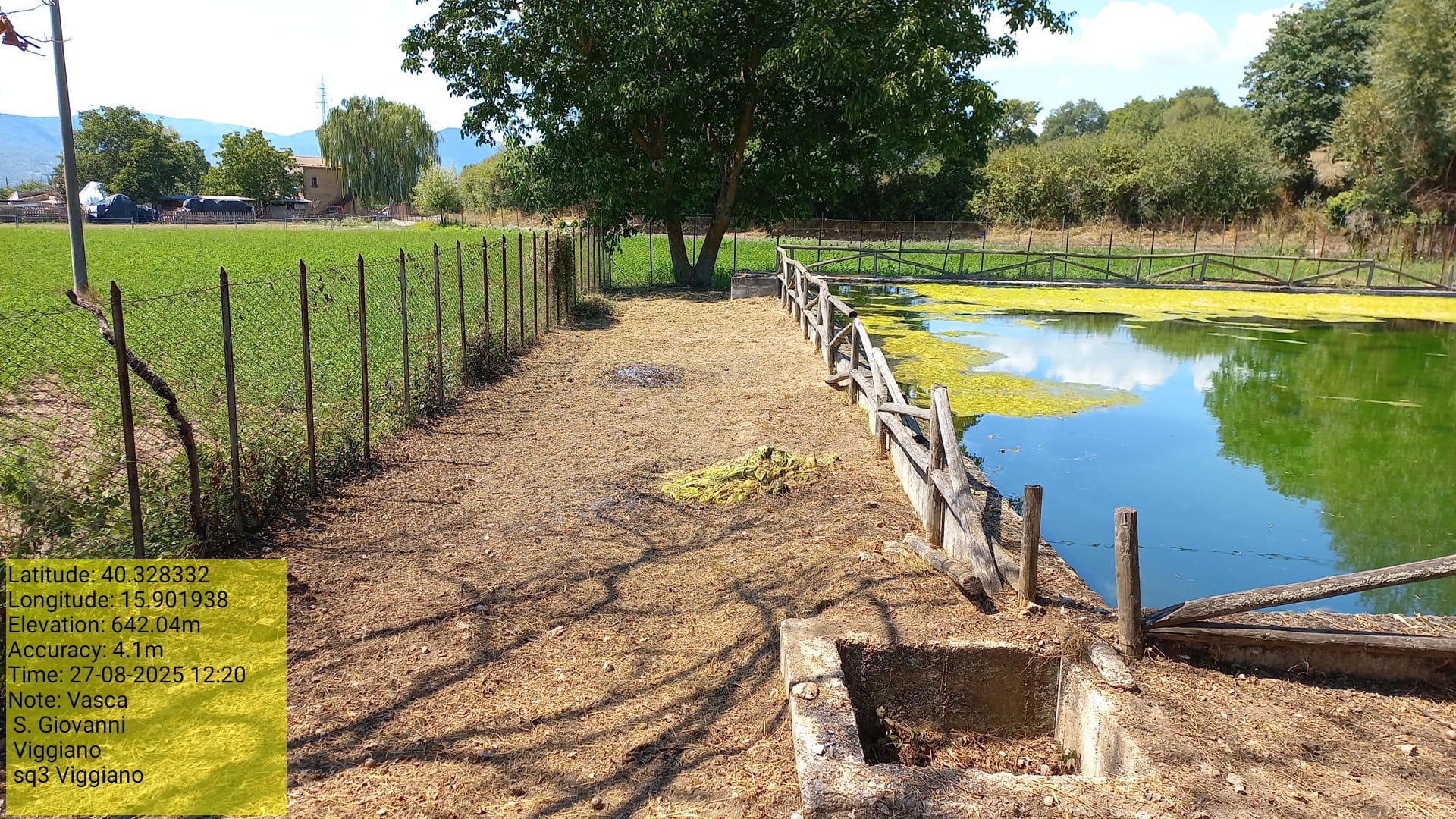 Galleria Fotografica Immagine