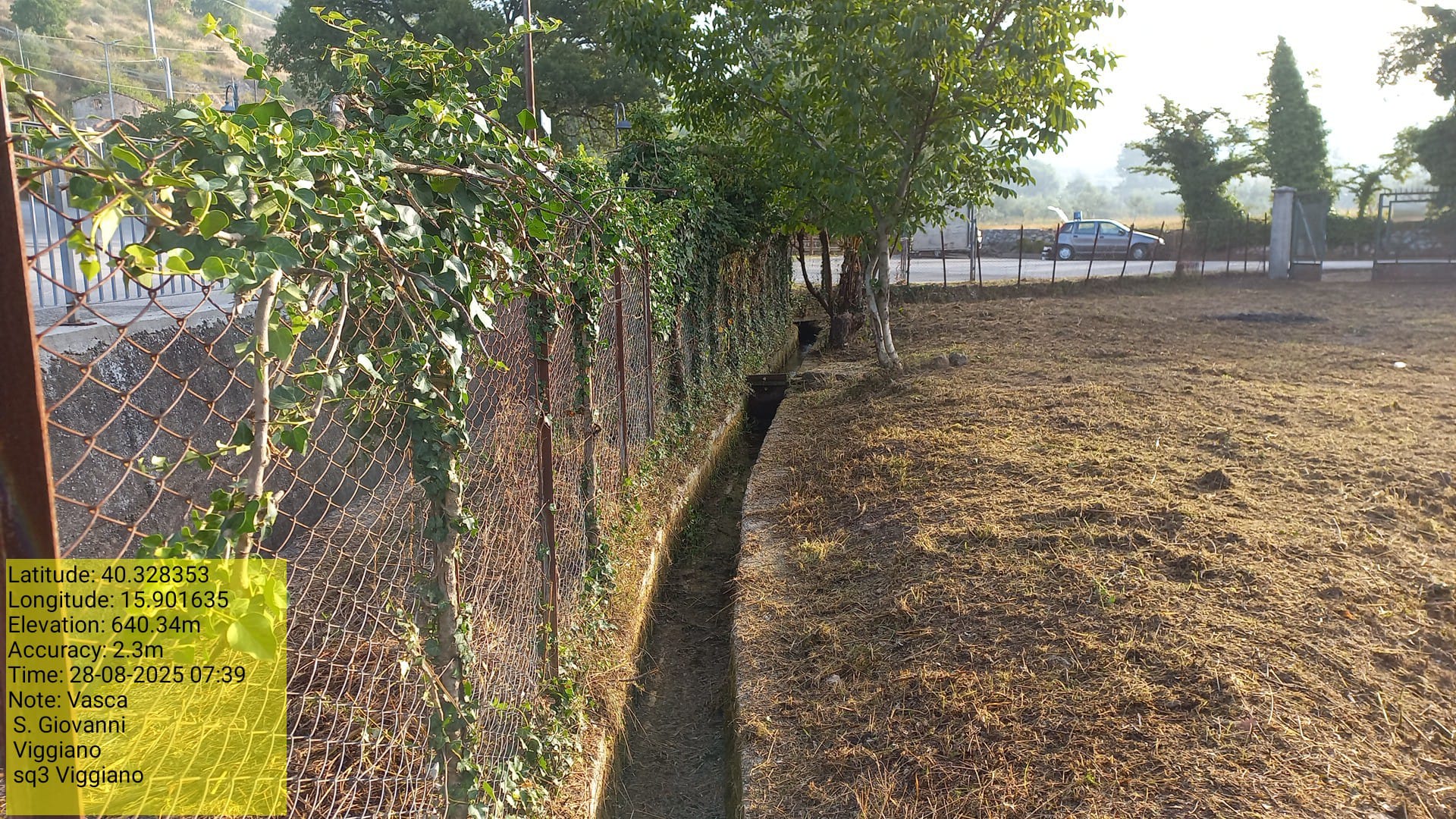 Galleria Fotografica Immagine