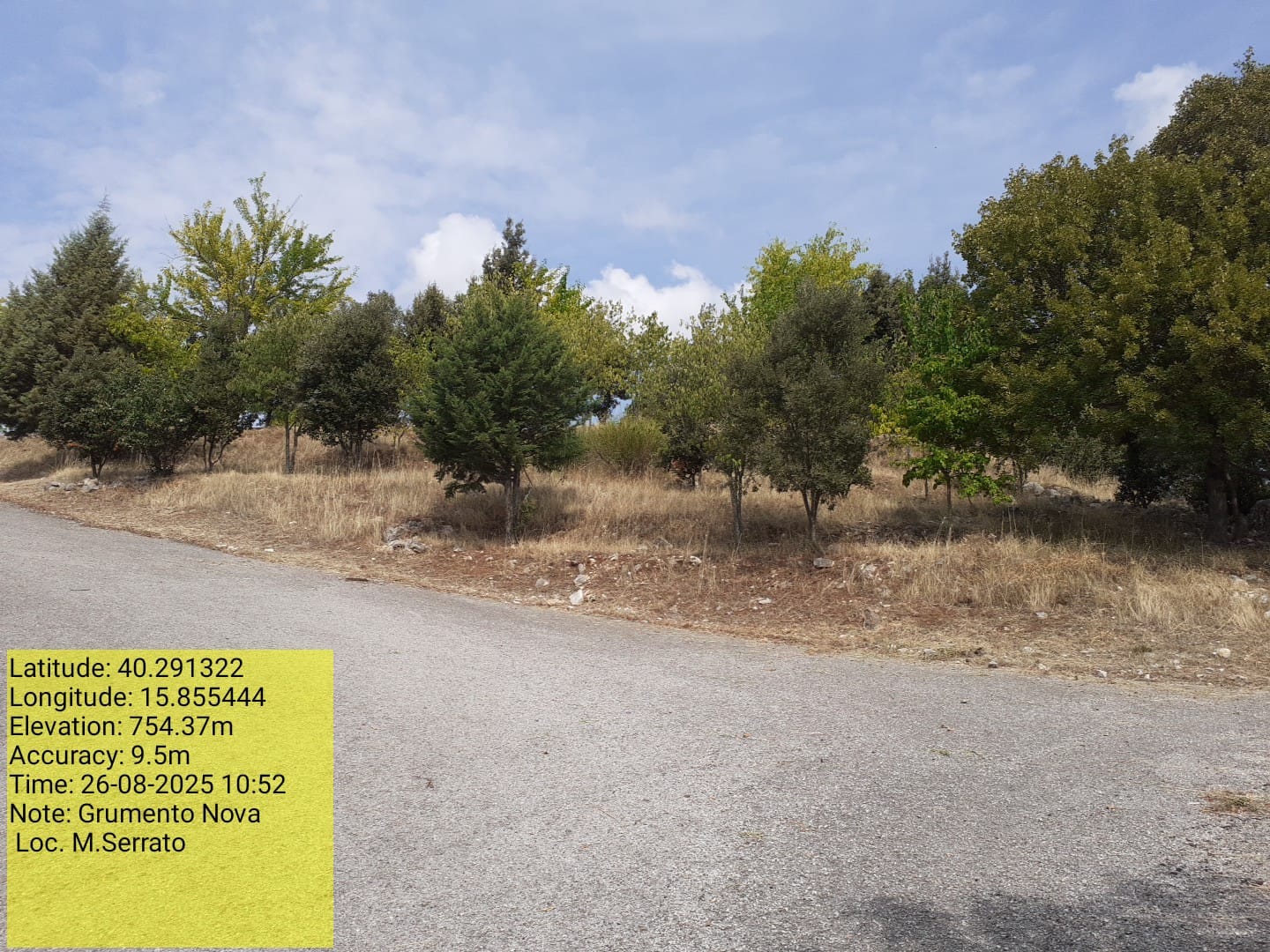 Galleria Fotografica Immagine