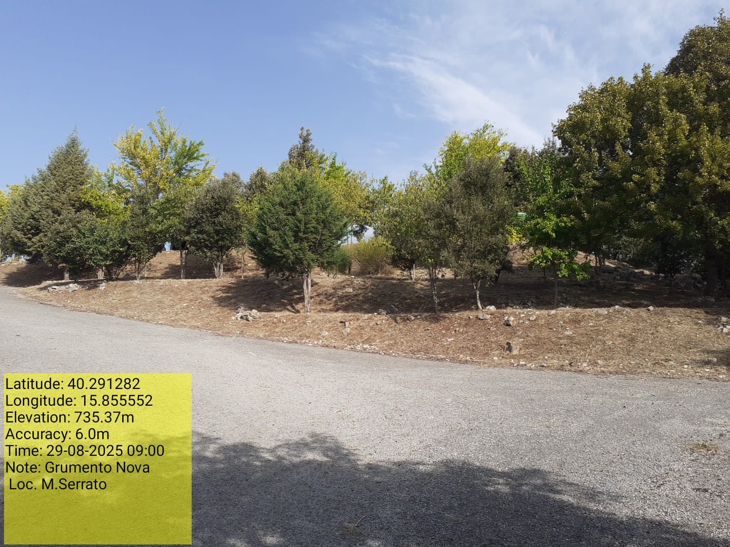 Galleria Fotografica Immagine