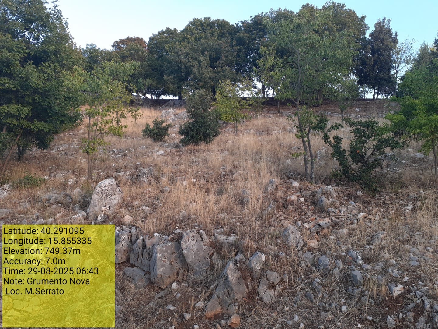 Galleria Fotografica Immagine