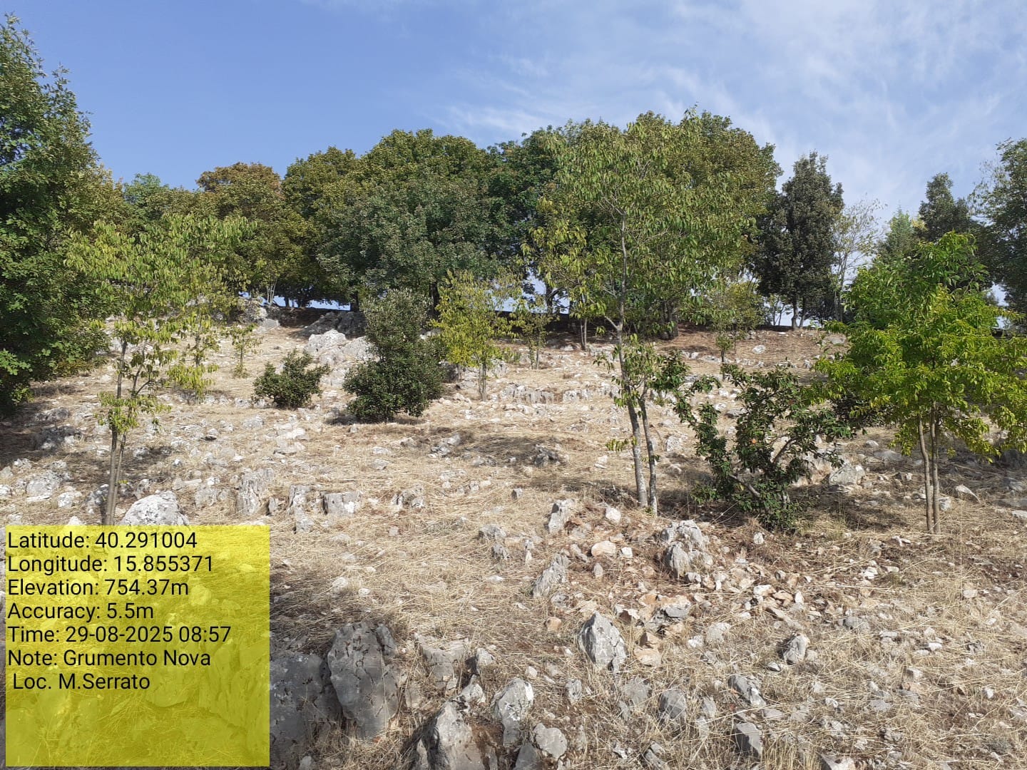 Galleria Fotografica Immagine