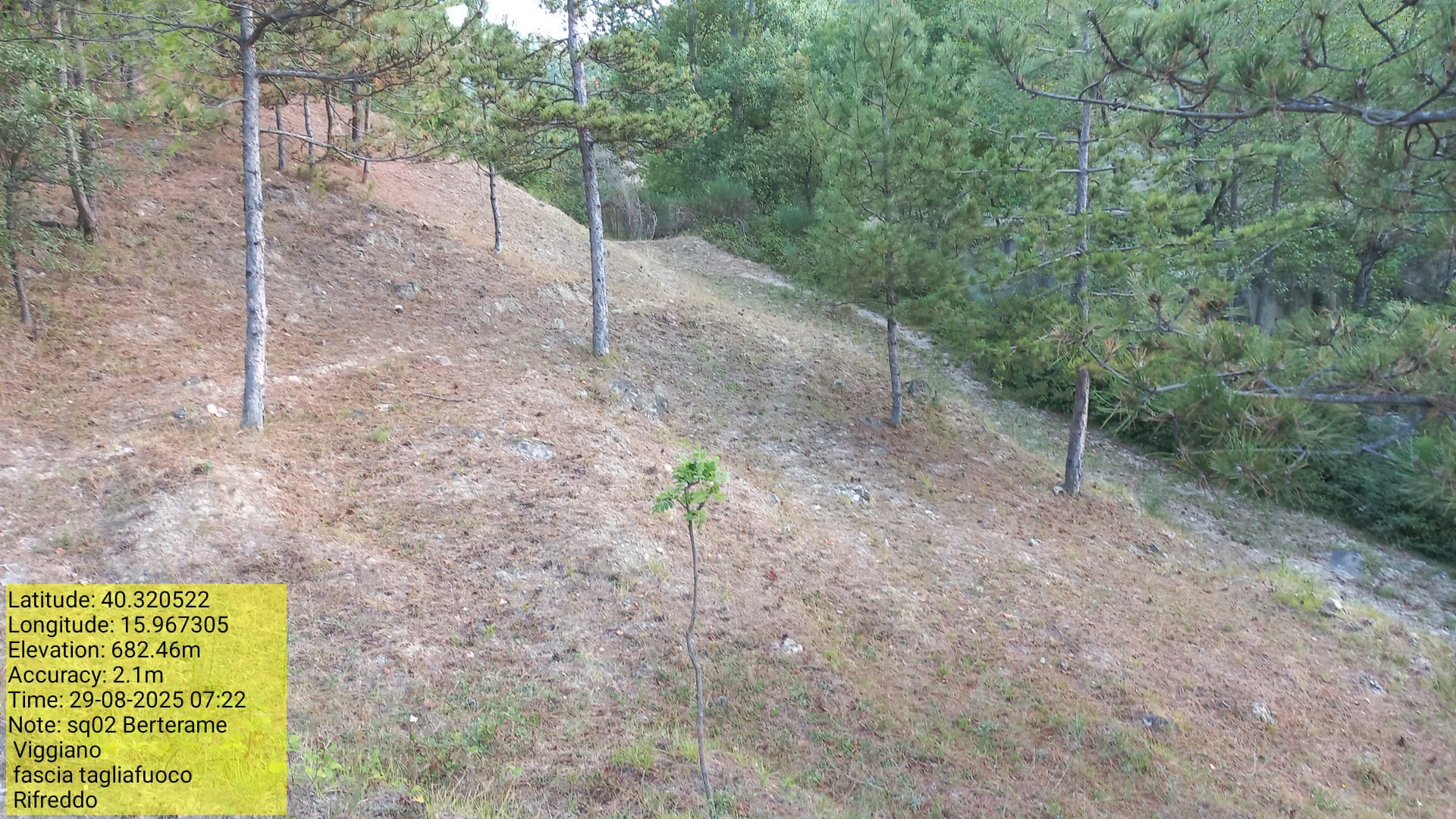 Galleria Fotografica Immagine