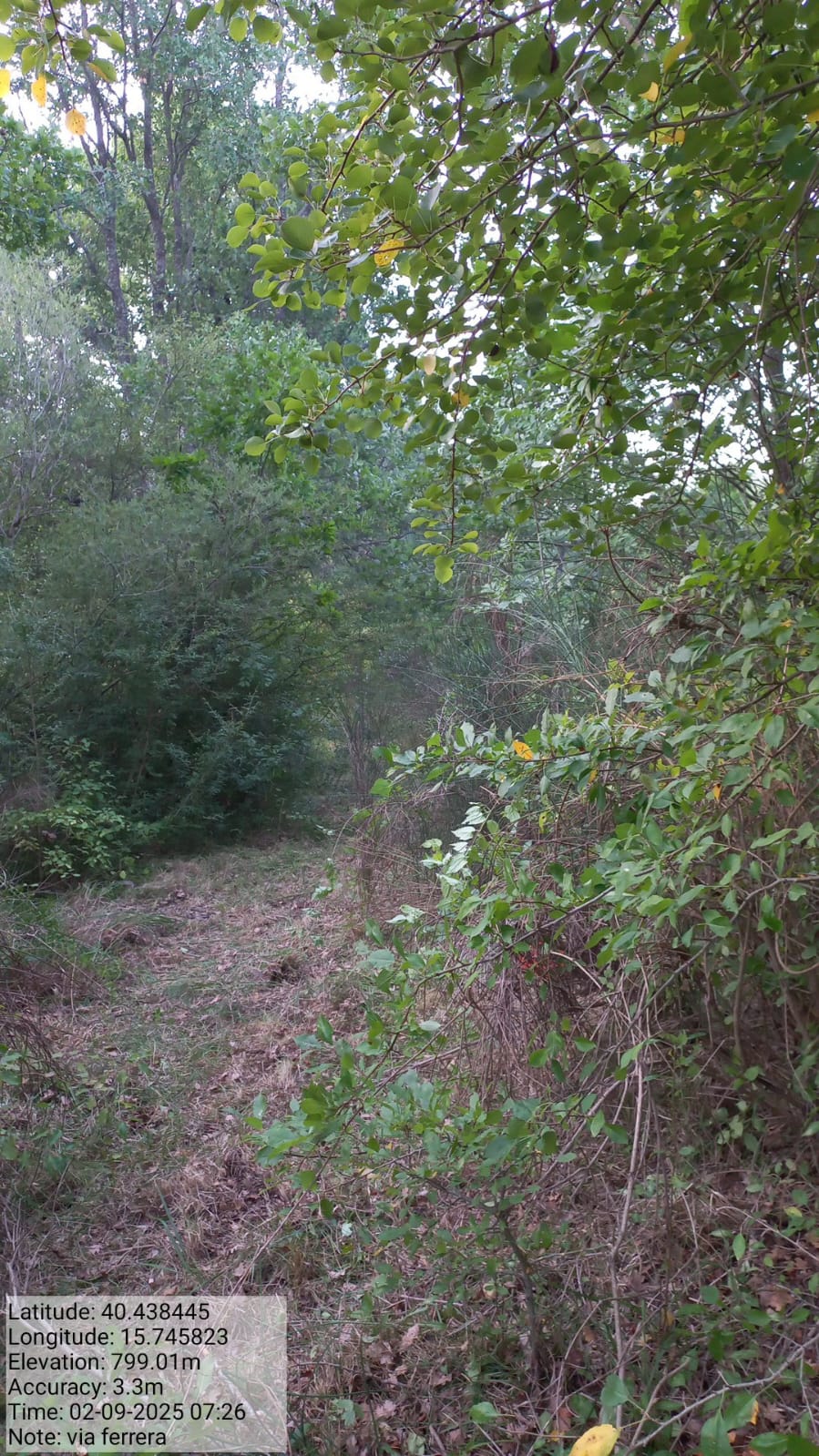 Galleria Fotografica Immagine