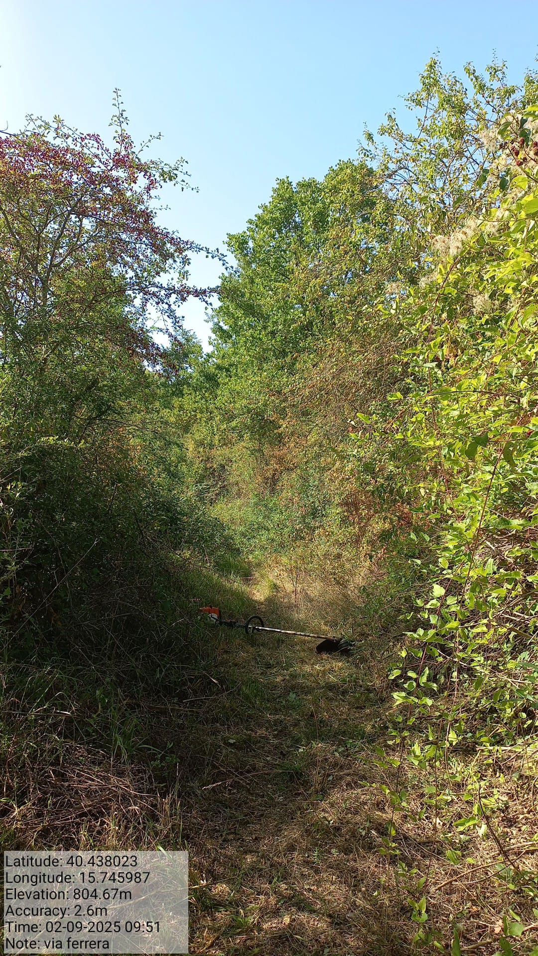 Galleria Fotografica Immagine