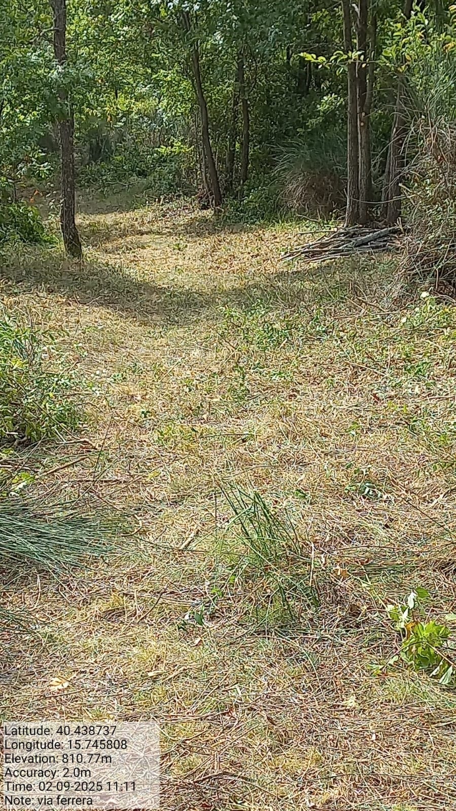 Galleria Fotografica Immagine