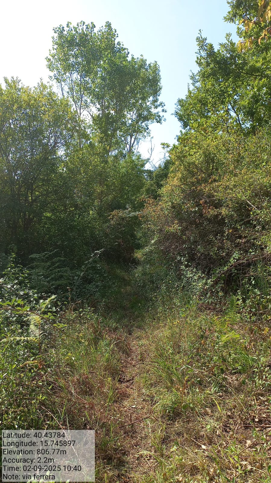 Galleria Fotografica Immagine