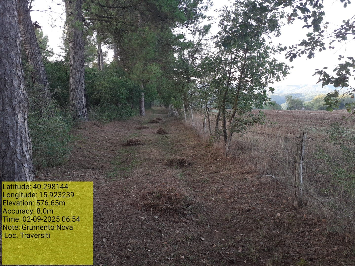 Galleria Fotografica Immagine