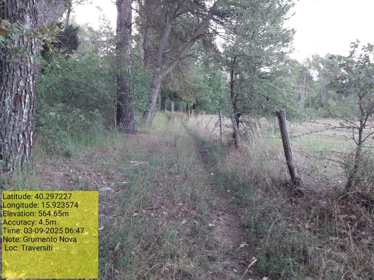 Galleria Fotografica Immagine