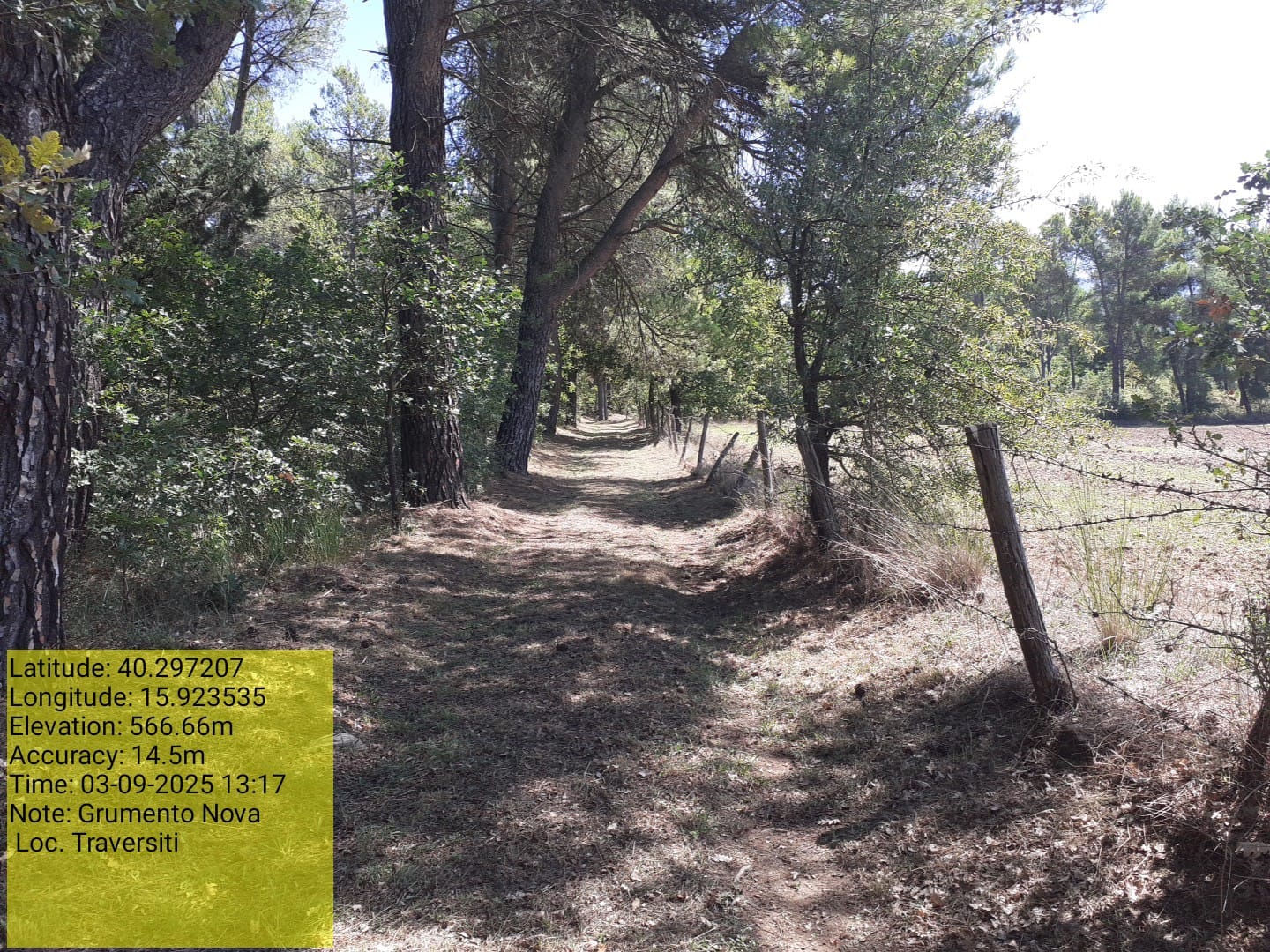 Galleria Fotografica Immagine