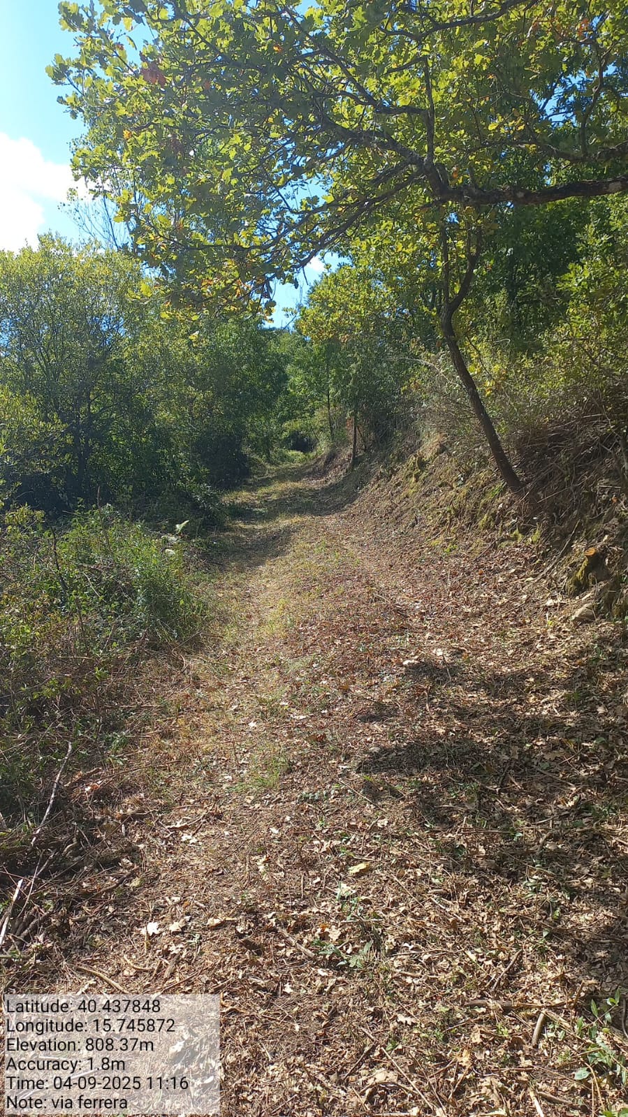 Galleria Fotografica Immagine