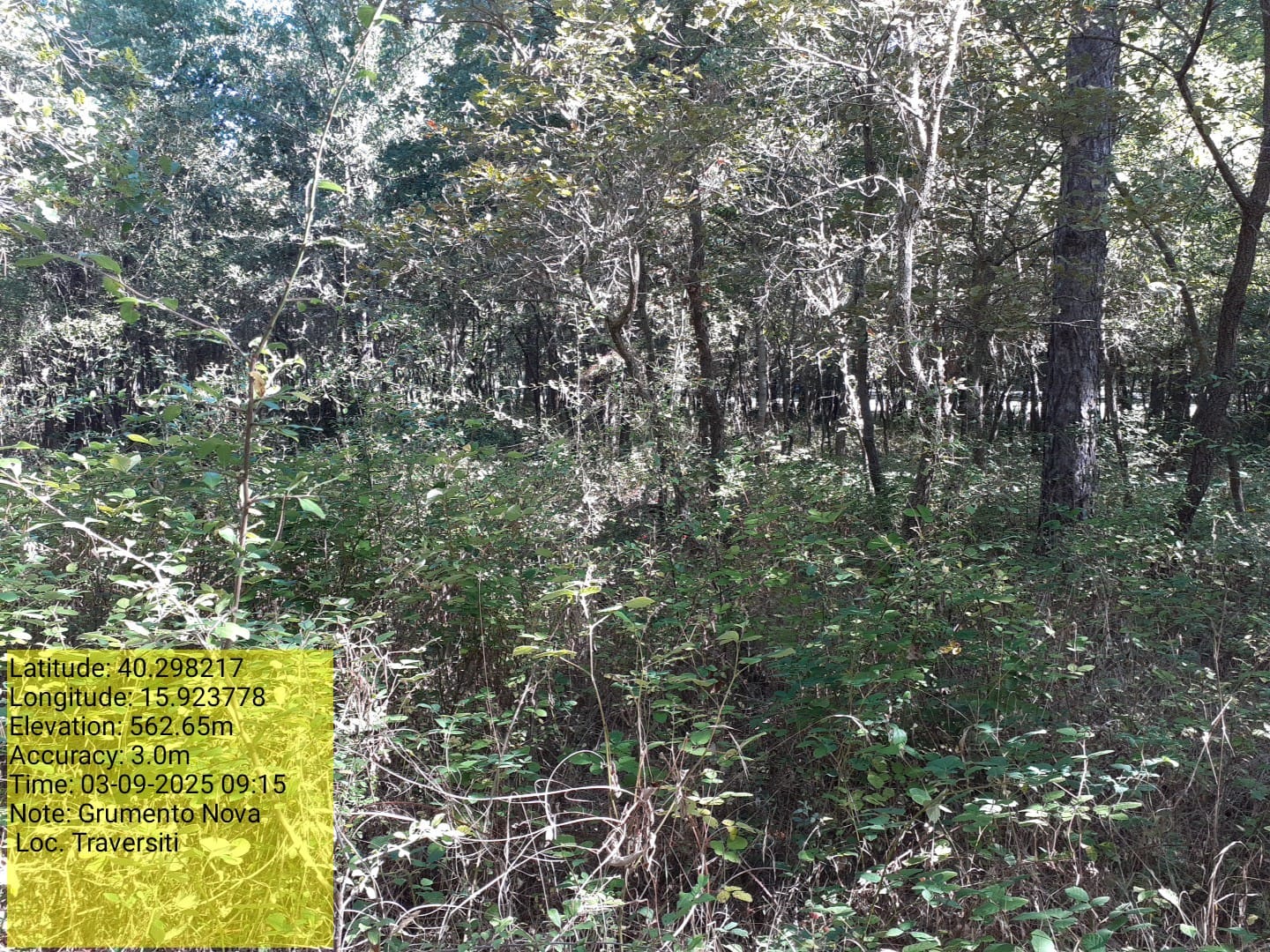 Galleria Fotografica Immagine