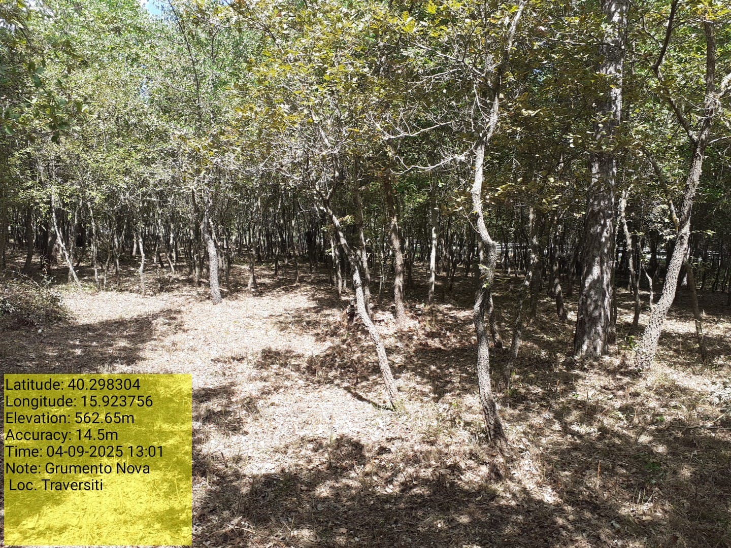 Galleria Fotografica Immagine