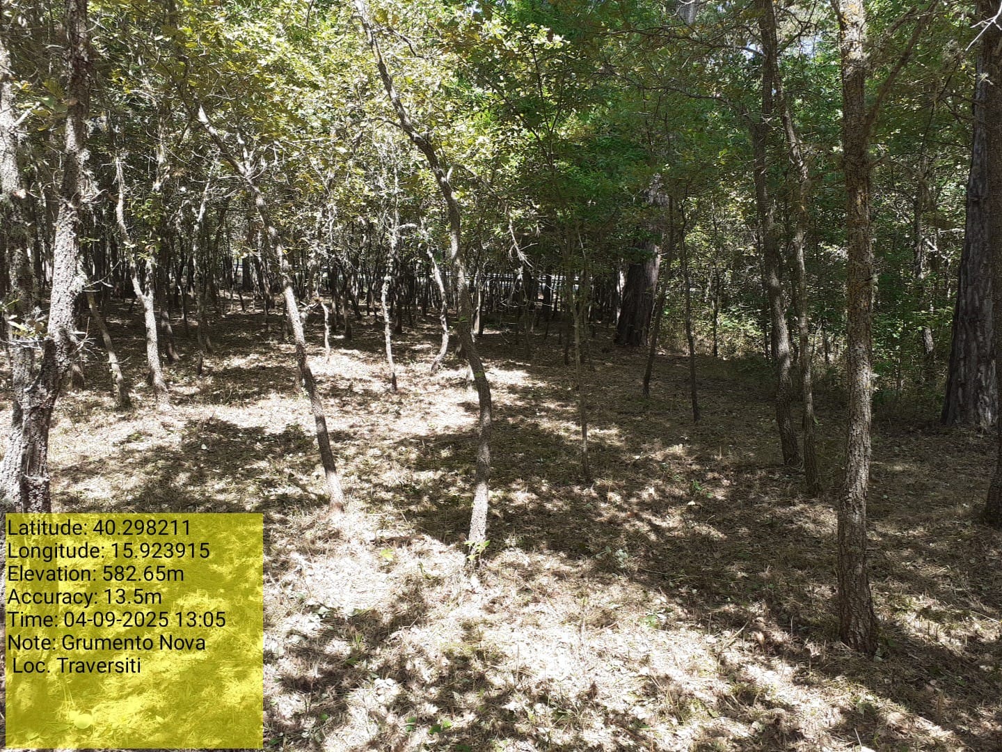 Galleria Fotografica Immagine