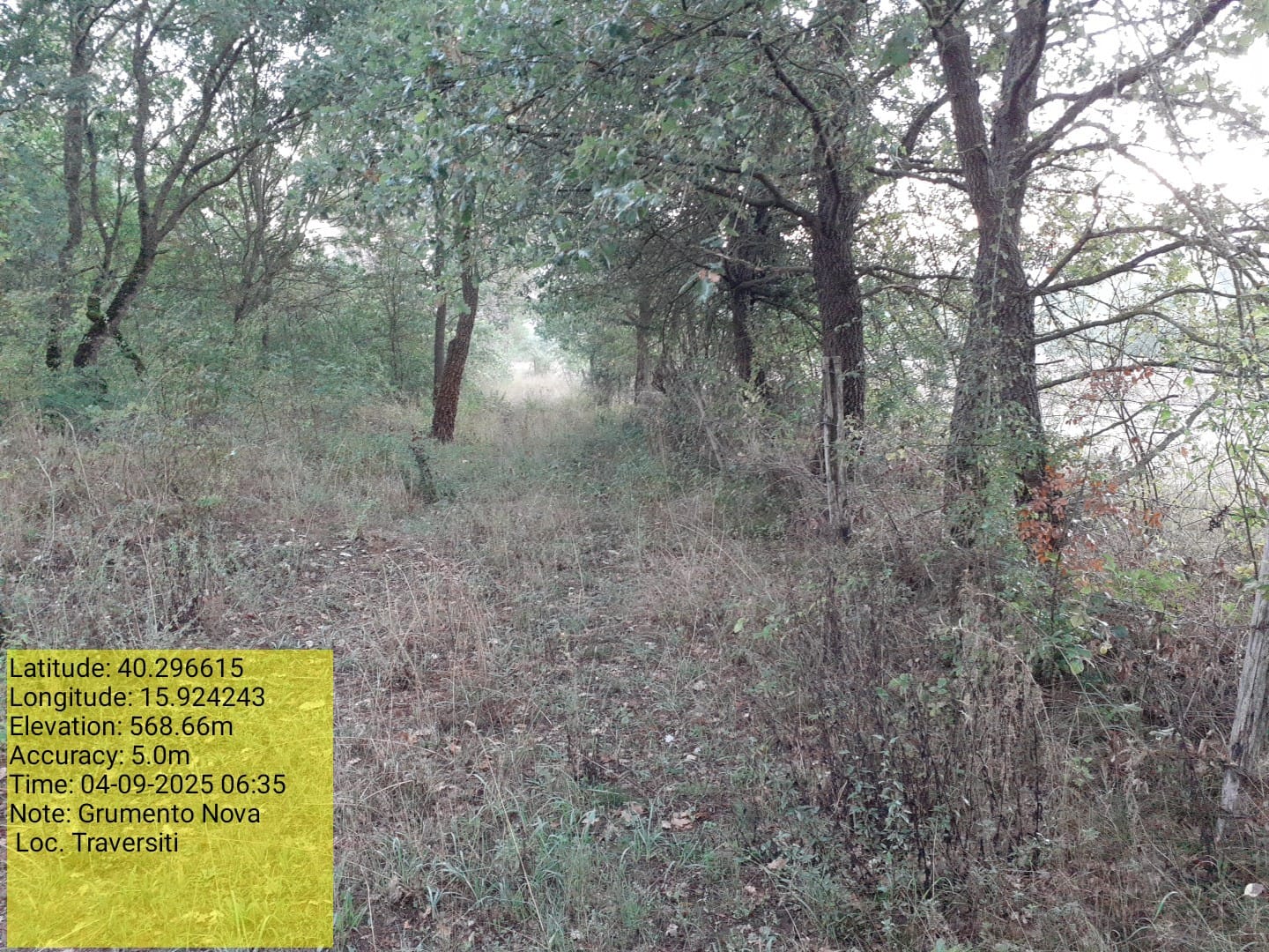 Galleria Fotografica Immagine