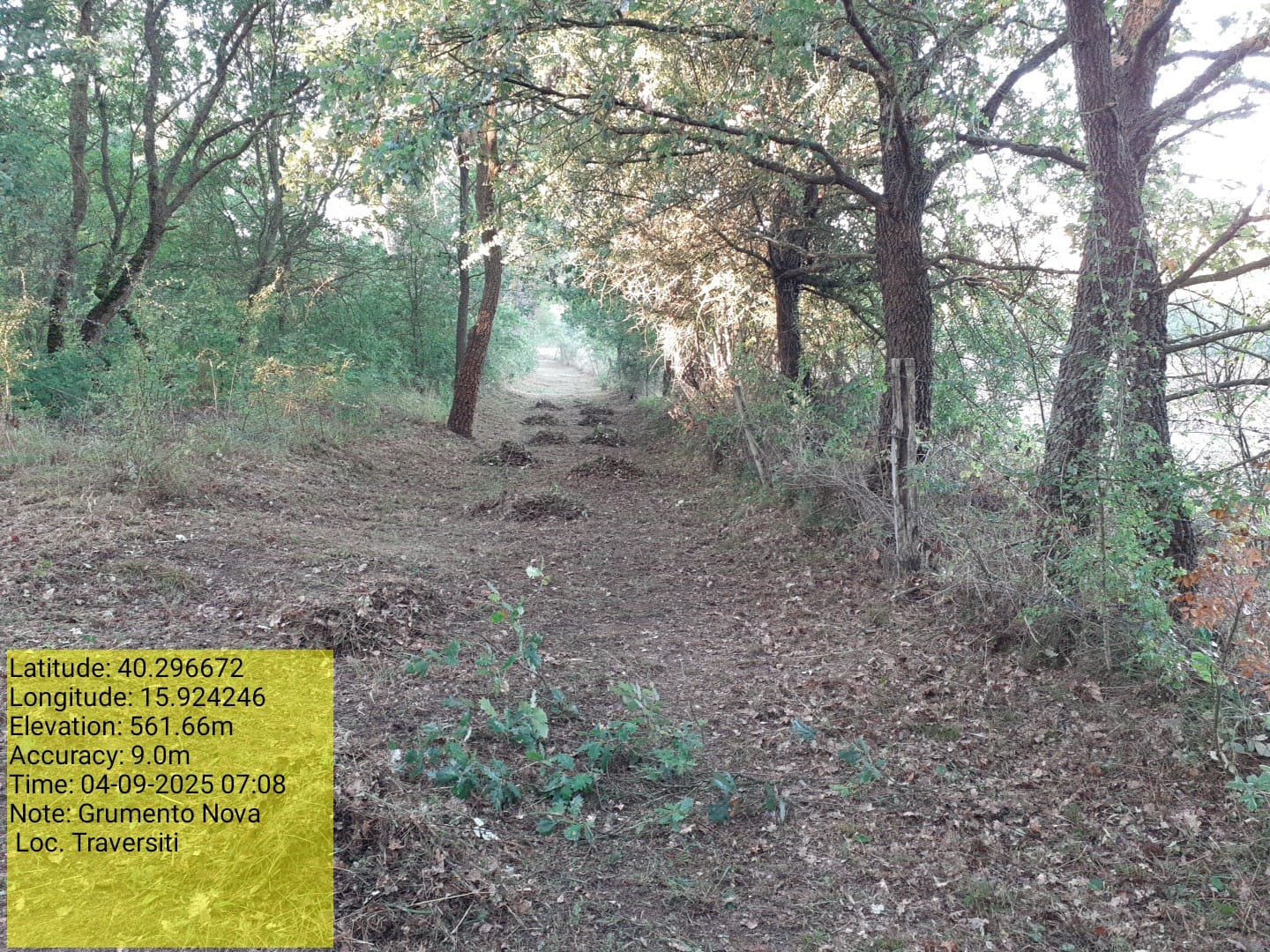 Galleria Fotografica Immagine