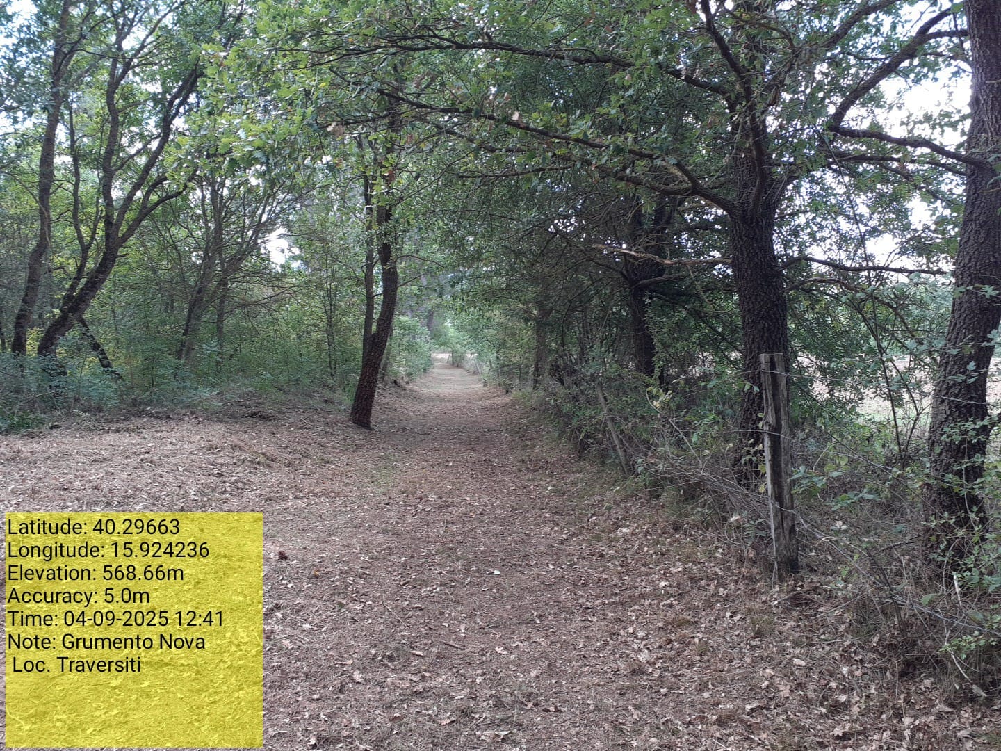 Galleria Fotografica Immagine